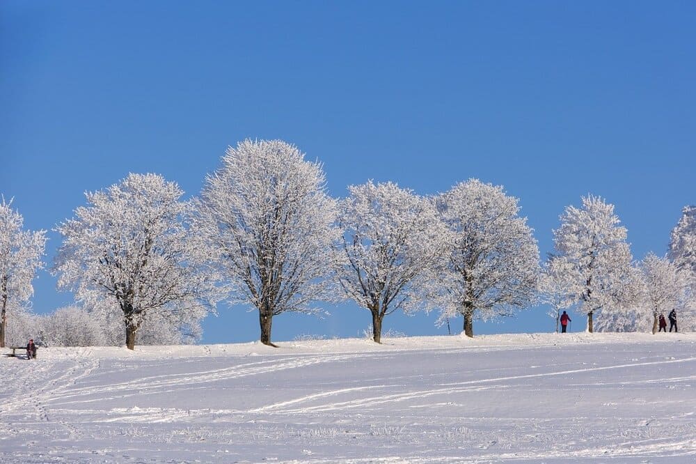 Winter in Collingwood featured.